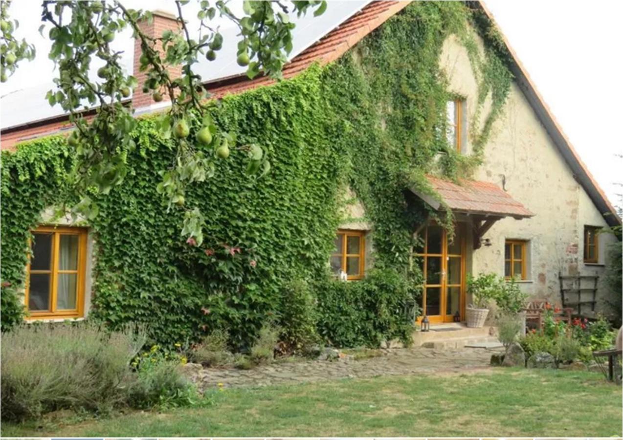 Haus Falkenhof Knüllwald Exterior foto